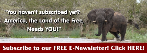 Subscribe to our FREE E-Newsletter!